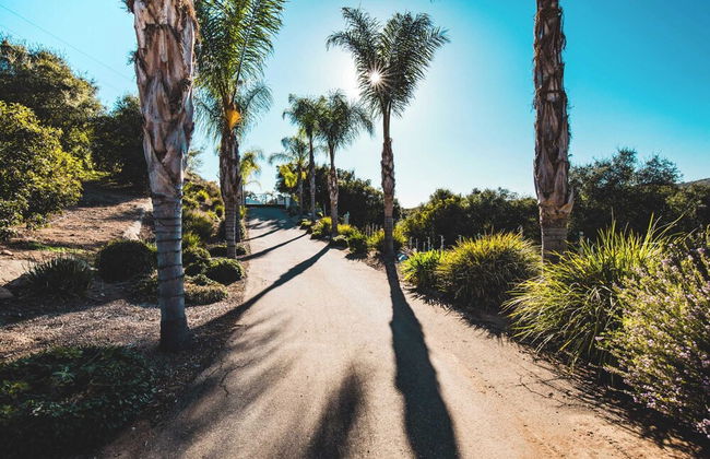 Grapevine by Avantstay Secluded 5BR Villa 4 Acres of Vineyards & Avo Groves! - Foto 64