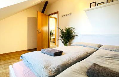 P6 - Familienwohnung am Park und Saale - Foto 46