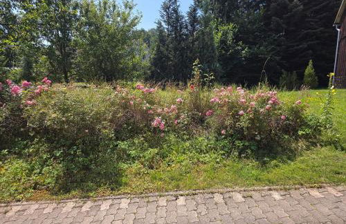 Domizil Resi in der Fränkischen Schweiz bei Bayreuth - Foto 21