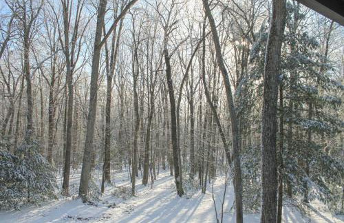 Sunset Ridge Retreat - Foto 7