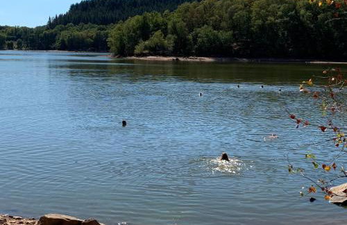 Ancienne Auberge des Brizards - Morvan (14 personnes) - Foto 40
