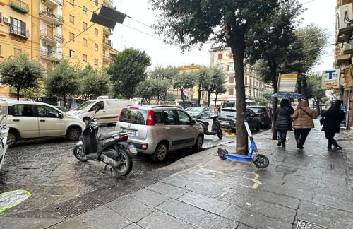 Vincent maison - Foto 14