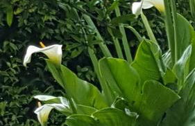 Agriturismo Fioredizucca - Foto 22