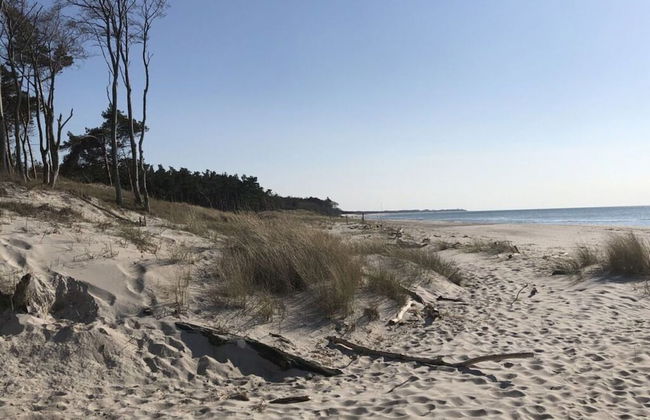 Katis Nest Comfortable Holiday Residence - Photo 22