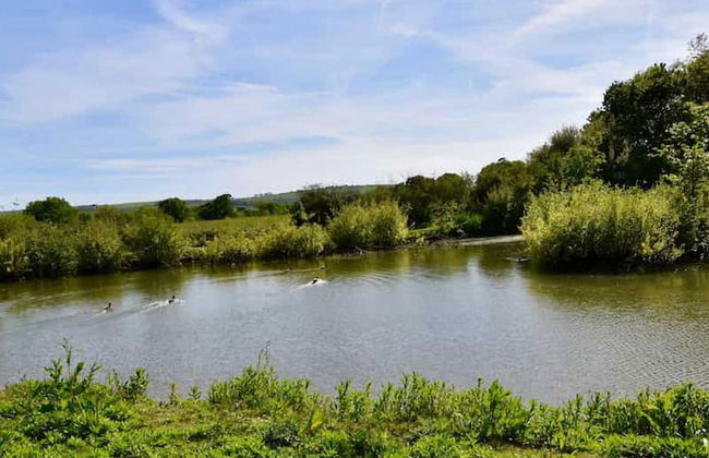 Carpenters Lodge the Perfect dog Friendly Retreat - Foto 22