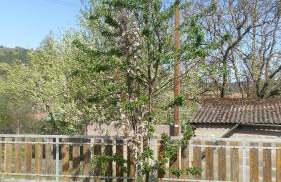 Ferienwohnung Anna - Photo 5