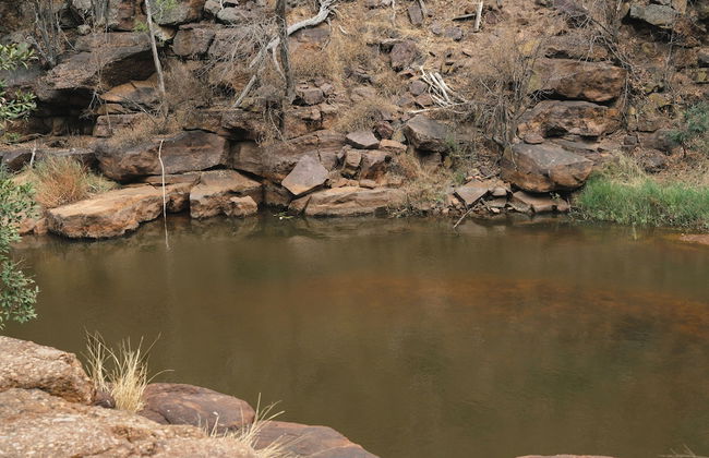 Buccara Waterberg - Molapo - Photo 75