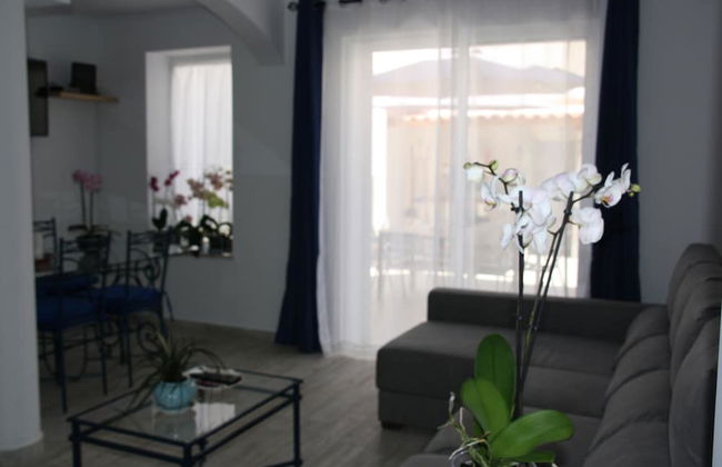 House Of Orchids - Foto 12