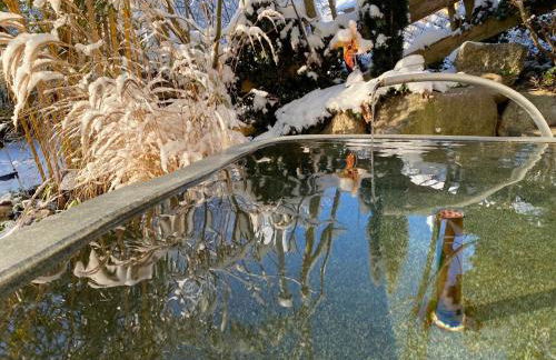 Pia's Nature Retreat - Foto 106