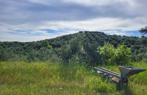 Mani Hill House - Foto 39