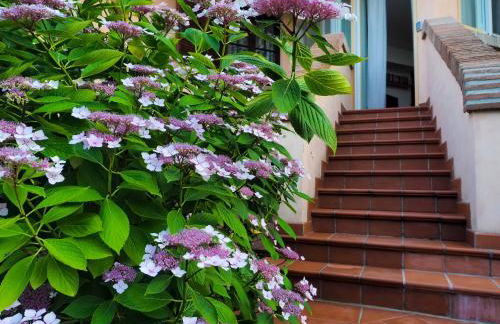 VILLA ISELLA - Photo 17