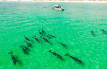 Emerald Gem 0.7 miles from beach - Foto 16