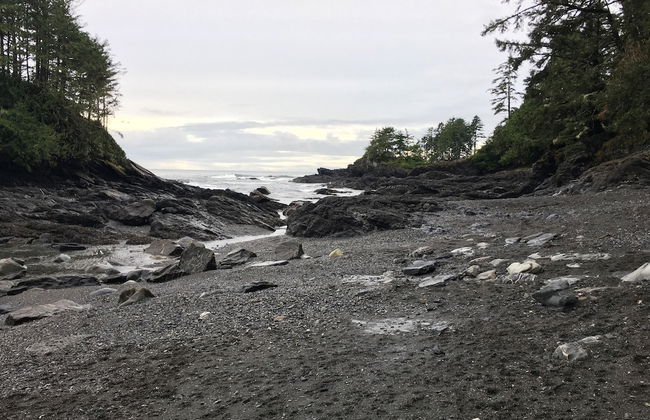 The Great Escape Secluded with Hot Tub - Foto 44