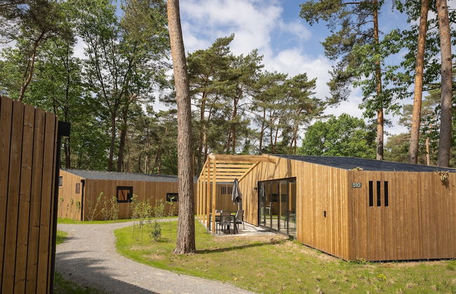 Chalet Near Eindhoven in a Green Oasis - Photo 10