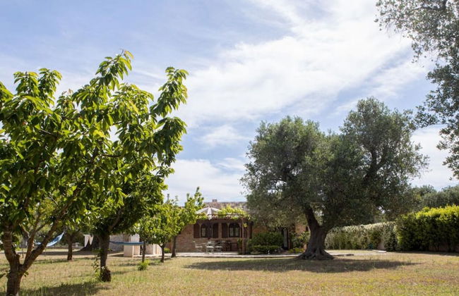 Trullo Degli Ulivi con Piscina e Idromassaggio - Foto 4