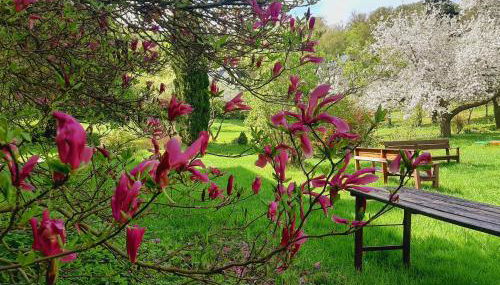 Die Malche Gäste und Tagungshaus 27 - Foto 4