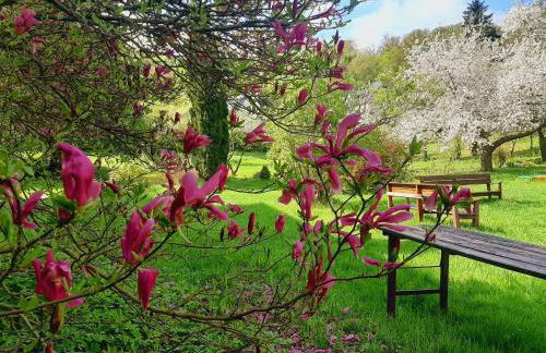 Die Malche Gäste und Tagungshaus 27 - Foto 4