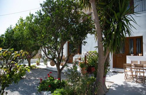 Dreamcatcher of Zeus - Foto 58