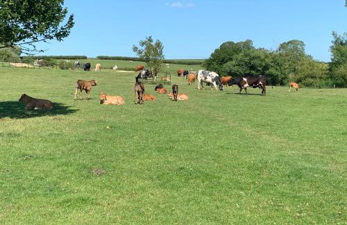 Weatherhead Farm - Foto 56