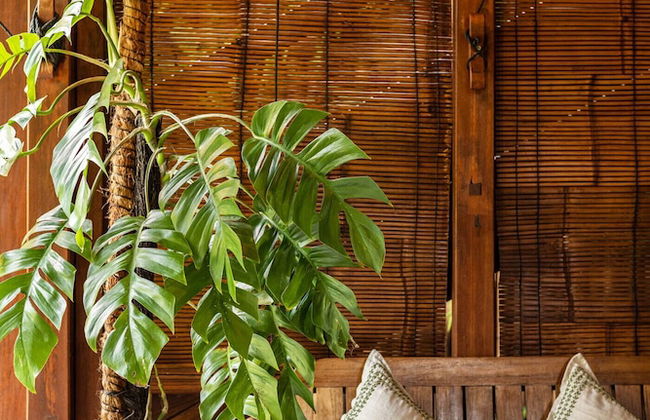 Rimba Villas Gili Air - Photo 34