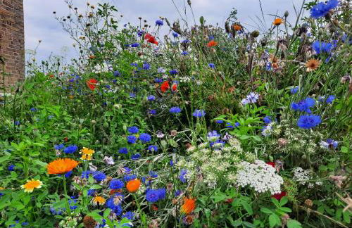 Ostseerauschen - Foto 48