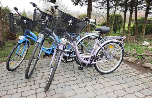 Domki Forest sauna jacuzzi balia Darłowo Darłówko Rusko - Foto 41