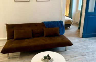 Le Canard du Berry - Wifi - Centre Ville - Foto 3