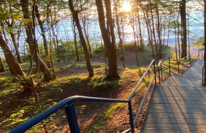 Siedlisko Wytowno - Foto 25