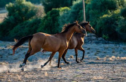 Agriturismo Carrucana - Foto 44