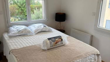 Jolie duplex face à la Seine - Foto 5