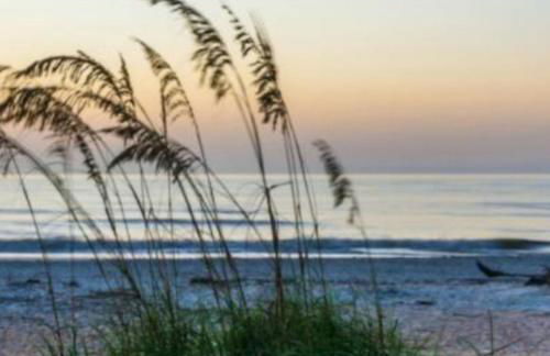 Island Charmer Davis Shores, Pets, Firepit - Foto 44