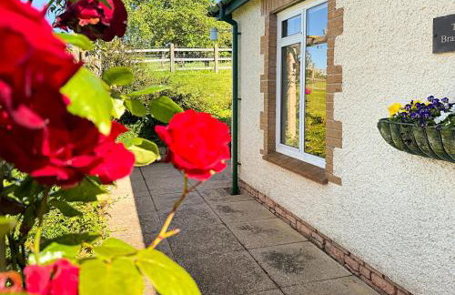 The Bramleys Old Cleeve - Foto 14