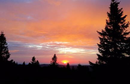 Appartement chaleureux à Soultzeren avec vue sur montagne - Foto 31