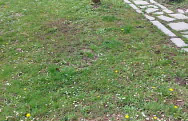 House Kupa MB - Foto 7