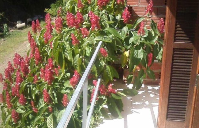 Sharing Home - Foto 5