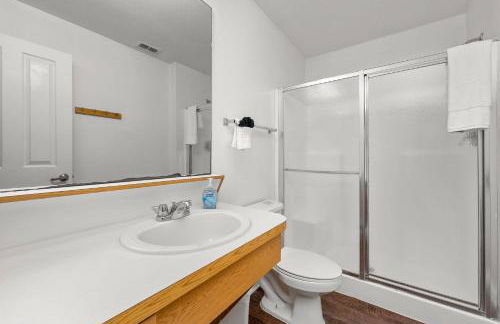 2 MI to USF Pet Friendly & Budget Friendly - Foto 16