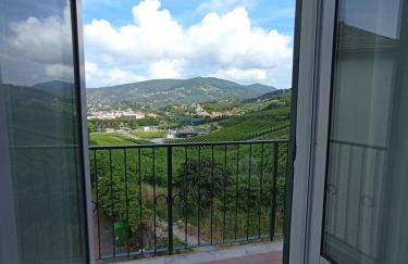 Al VIgneto - Foto 23