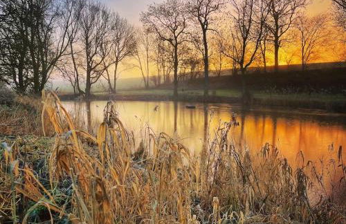 idyllisch gelegenes Ferienhaus nähe Heiligenhafen - Foto 22