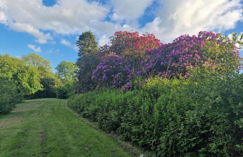 Sandpiper Cottage - Foto 32