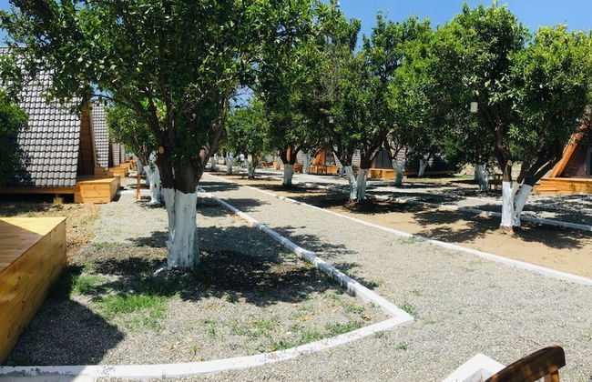 Limon Datca - Foto 14