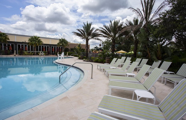 Charming 3Bd Close to Disney at Enclaves at Festival 745 - Foto 3