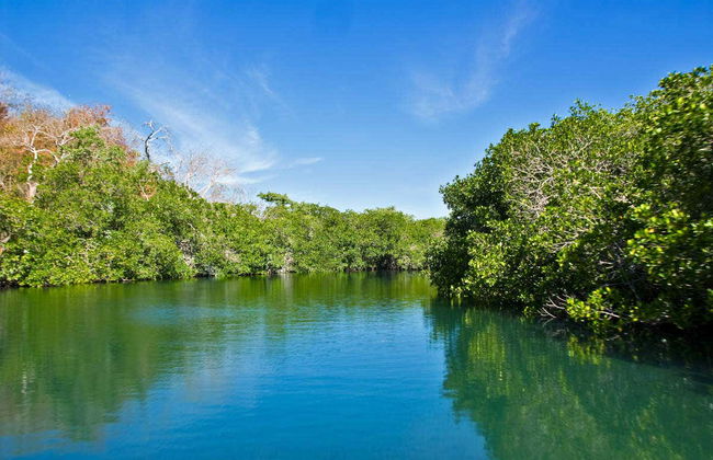 Paseo en barco con fondo de cristal - Foto 2