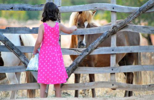 Agroturismo Finca Son Sala - Photo 1