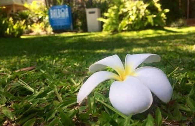 Balboa Holiday Apartments - Photo 40