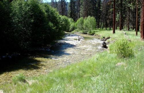 Countryside Cabin Rental for Three in Mountains of Darby, Montana - Foto 6