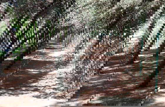 Apartment in old center of Tbilisi - Foto 23