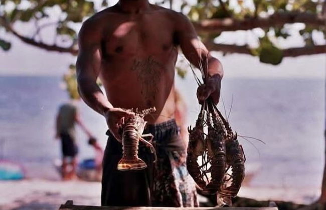 finca beach house and cabana - Foto 34