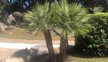 MINI VILLA entre mer et montagne PALAVESA - Foto 3