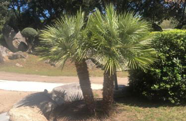 MINI VILLA entre mer et montagne PALAVESA - Foto 3