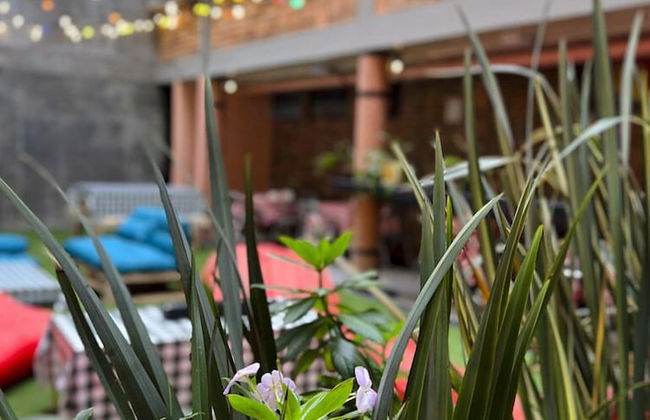 Grace Chapinero - Foto 23